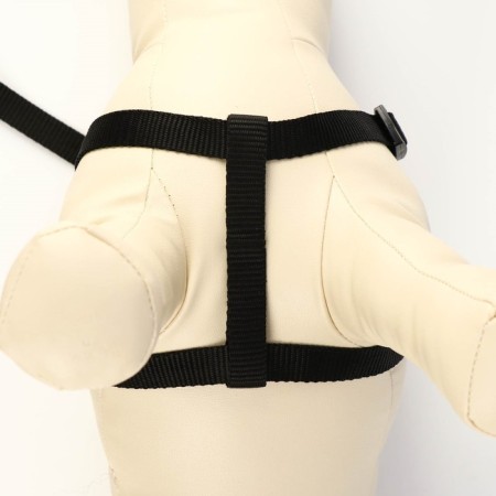 Set "Basis", leash 120 x 1.5 cm, OG 32-46 cm, black-2
