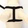 Set "Basis", leash 120 x 1.5 cm, OG 32-46 cm, black