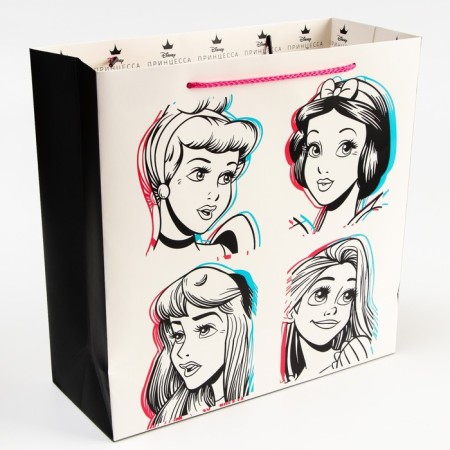 Gift package, 30x30x12 cm, packaging, princesses-2