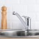 Kitchen mixer "RMS" SL55-004F-25, single-leaf, pour 255 mm, zinc, chrome