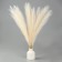 Pampas artificial grass, height 43 cm, 5 brushes, beige color
