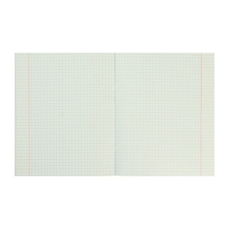 Notebook of 48 sheets in the “Bright Accents” cage, paper cover, type “D” block, mix-1