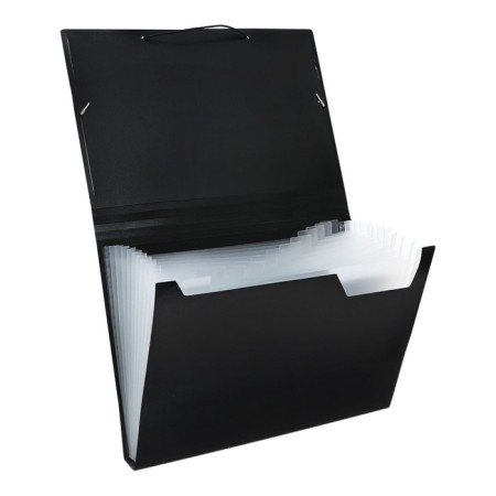 Folder Carder Calligrata 13 Department. A4 plastic 0.7mm black. Mix TsV rubber bands-2
