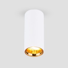 Ceiling accent light (SPOT) ELEKTROSTANDARD, DLR030 LED 12 W, 55x555x120 mm, IP20, white matt/gold