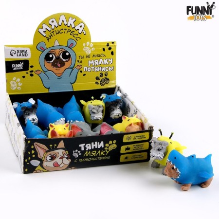 Anthistress Magnel Peresiki, with sand, chicks, in showbox-6