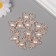 Decor for creativity plastic "Bear with rhinestones" gold set 10 pcs 2.5x2x1 cm