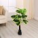 Artificial tree "Monster Galant" 80 cm