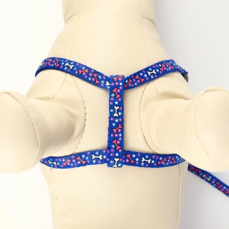 Set "Star Bones", leash 120 x 1 cm, og 23-35 cm, blue-4