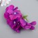 Flowers for decorating "hydrangea" purple 10x10 cm