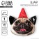 Foil ball 24 "Dog Happy Birthday", without a substrate