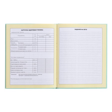 Diary for grades 1-4, solid cover "Girls", matte lamination, selective varnish, block 60 g/m2-12