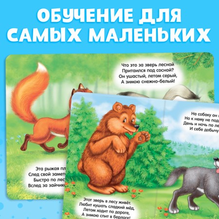 Cardboard book "Fluffy Riddles", 10 p.-2