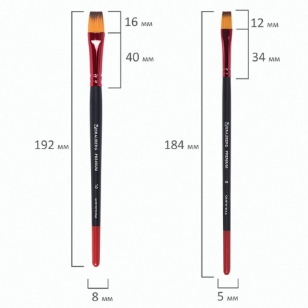 System of synthetics 10 pieces, Brauberg Premium, round No. 1, 2, 3, 5, 8; Flat No. 2, 4, 6, 8, 10-6