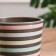 Kashpo "Ribbon Color" Gray Platan 1.13 liters