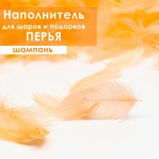 Filler of feathers for balls and gifts, champagne, 6g.