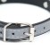 A collar with bones reflective, 37 x 1.3 cm, Osh 26-33, black