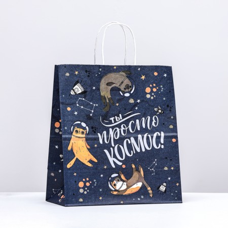 Paper package, craft 100 g/m2 25 x 22 x 12 cm "You are just cosmos"
