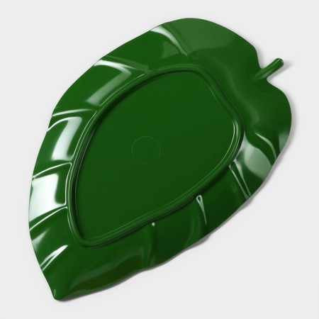 Serve dish "Liszt", 37.5 × 23.5 × 2 cm, green color-5