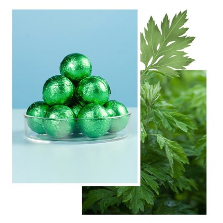 Feet bomb, herbal collection for the Wormwood Poles, set 10 pcs-3