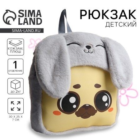 Plush Baby backpack for the girl "Dog in a suit", 30x25x7 cm
