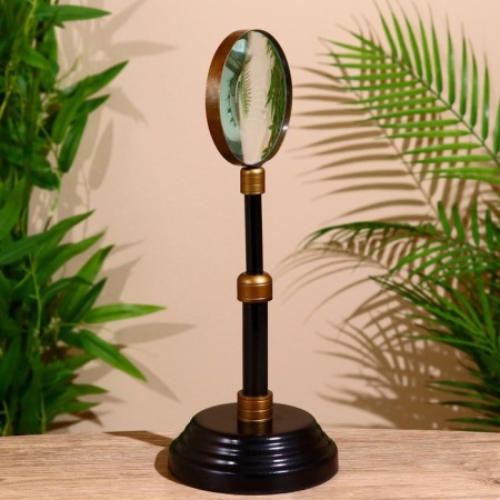 Lupa table 34 cm (lens 10 cm) metal-2