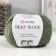 Yarn "Silky Wool" 35% Silk district, 65% Merino. Wol 190m/25g (346 wormwood)