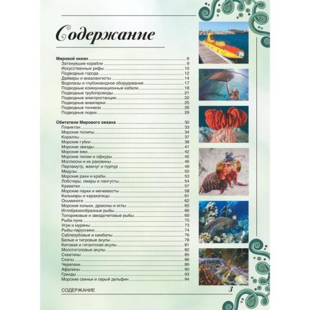 A large book about the underwater world. 1001 photography. Likso V.V.-1