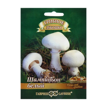 Seeds Shampignon "Bely", on a grain substrate, 15 ml