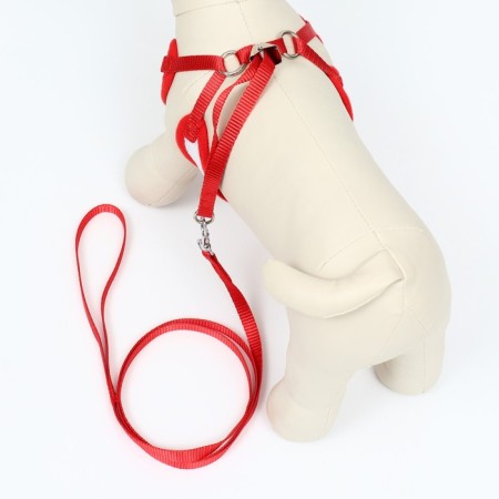 A set with a soft harness and a bow "anchor", size S, leash 120 x 1.5 cm, fire 23-42 cm, red-2