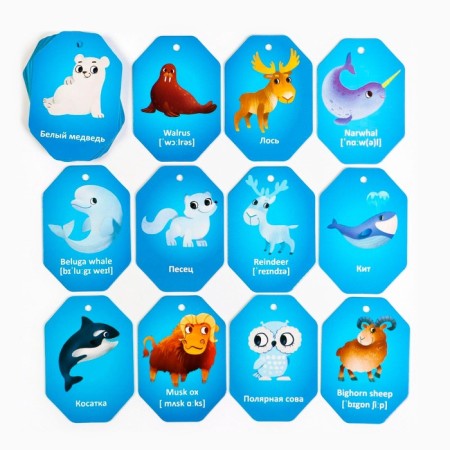 Cards on the ring for learning English "animals of poles", 20 cards, ring, 3+-2