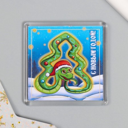 Acryl Magnet "Snake. Mix" 5.7x5.7 cm mix 10 types-2