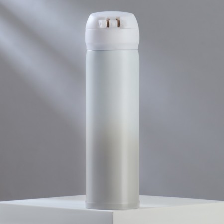 Thermos Mode Forrest is gray, 450 ml-1