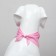 Animal scarf "Happy birthday", 15 x 12 x 1 cm, pink