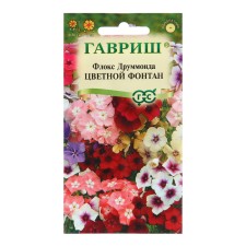 Flocus flower seeds (Drummond) 