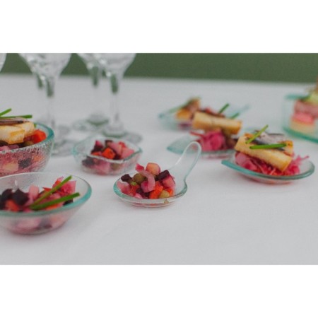 Glass Serving Magistro "Avis", 24.5 × 17 × 3.5 cm, transparent color-7