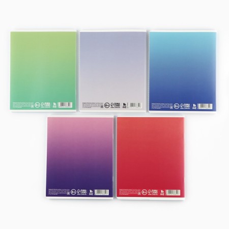 A notebook in a cage, 48 sheets A5 on a paper clip 5 pcs., Inner block No. 1 MIX “September 1: Motivational” mat. Laming, embossing-10