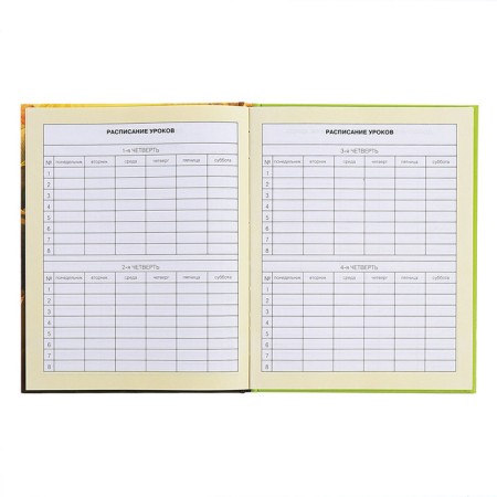 Diary for grades 1-4, hard cover "duckling", matte lamination, selective varnish, block 60 g/m2-7