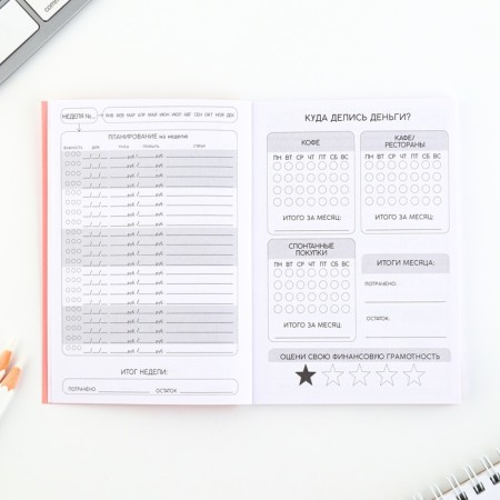 Notebook for finance planning "I -Magnet for Money"-4