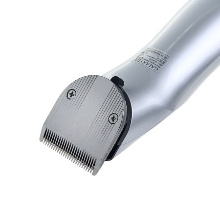 Galaxy GL 4155, 3 watts, battery, 4 nozzles, stainless steel blades. become-2