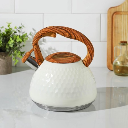 A kettle with a stainless steel whistle Magistro Heat, 3 L, TRS, Induction, Soft-Touch pen, white color-2