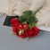 Bouquet "Rosa Chiffon and Chamomile" 30 cm, mix