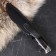 Caucasian knife "Golden Eagle 2" Steel - 65x13, Garda