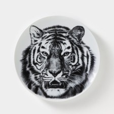 Porcelain plate 