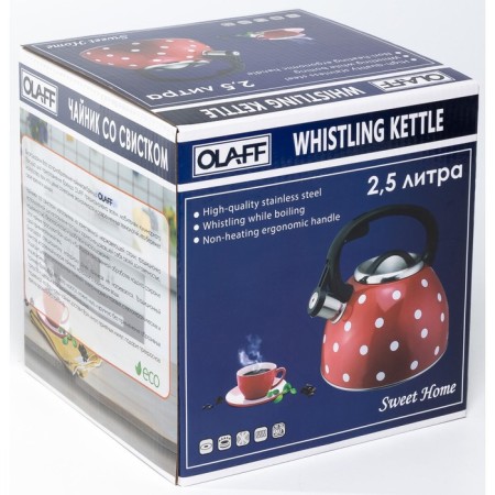 OLAFF kettle, 2.5 l-4