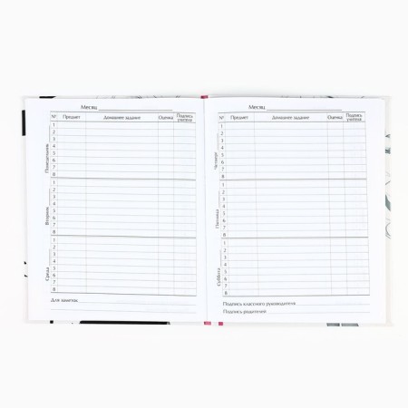 School diary for grade 1-11, in an integrated cover, 40 liters. "Anime. Girl"-2