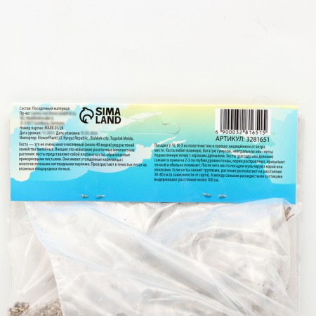 Khosta "Abikva Drinking Gurd", rr I, 1 pc, spring 2024-3