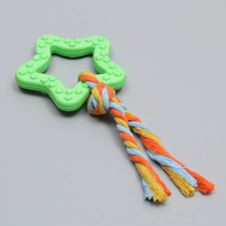 Chewing toy with a rope "Star with a tail", green-2