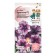 Flowers of Petunia "Brigitta", "Children's bed", 10 pcs