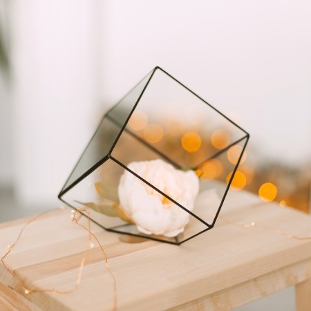 Florarium "Cube" average (silver seams)-4