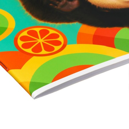 Album for drawing 40l., A4, on a clip of multi-bullets "Cheburashka"-2
